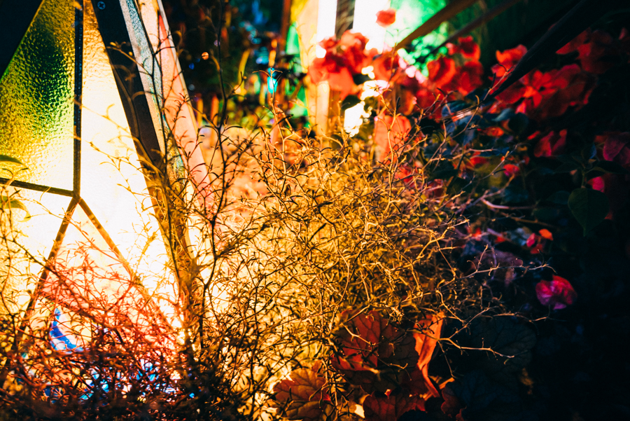   Event：OIOI 屋上｜NENOUWASA／ねのうわさ