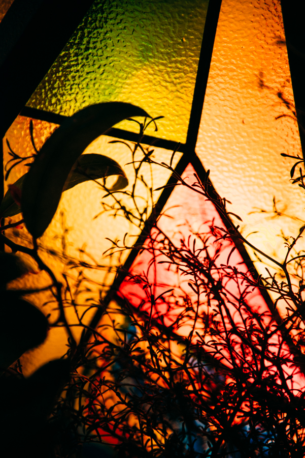   Event：OIOI 屋上｜NENOUWASA／ねのうわさ